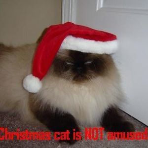 Meet your Posher, Kristi