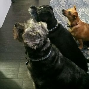 Meet your Posher, Christina