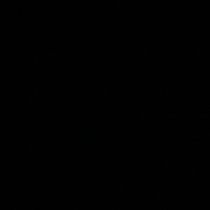 Meet your Posher, Rene