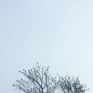 Meet your Posher, Ellie