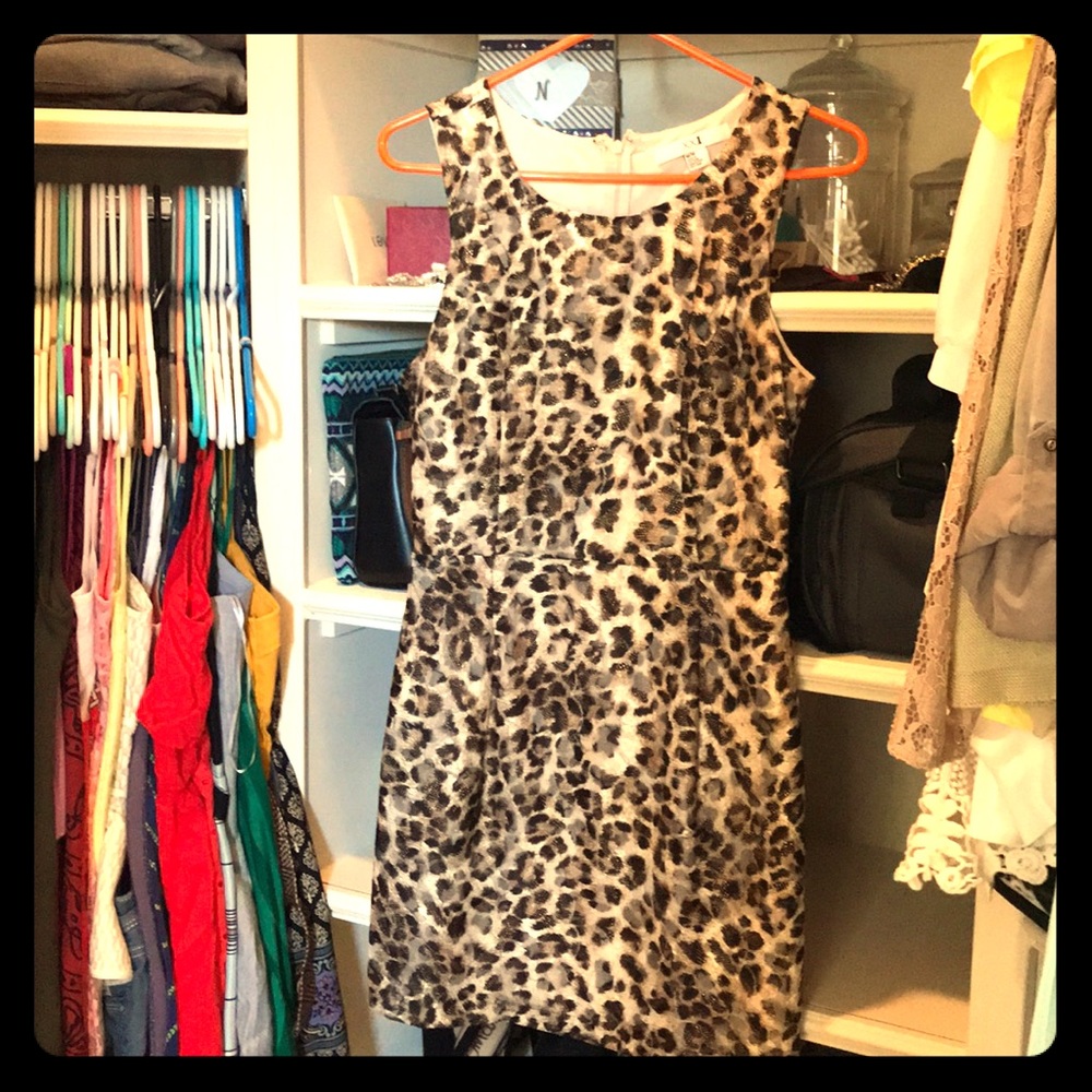Leopard short cute cocktail 🍸 dress