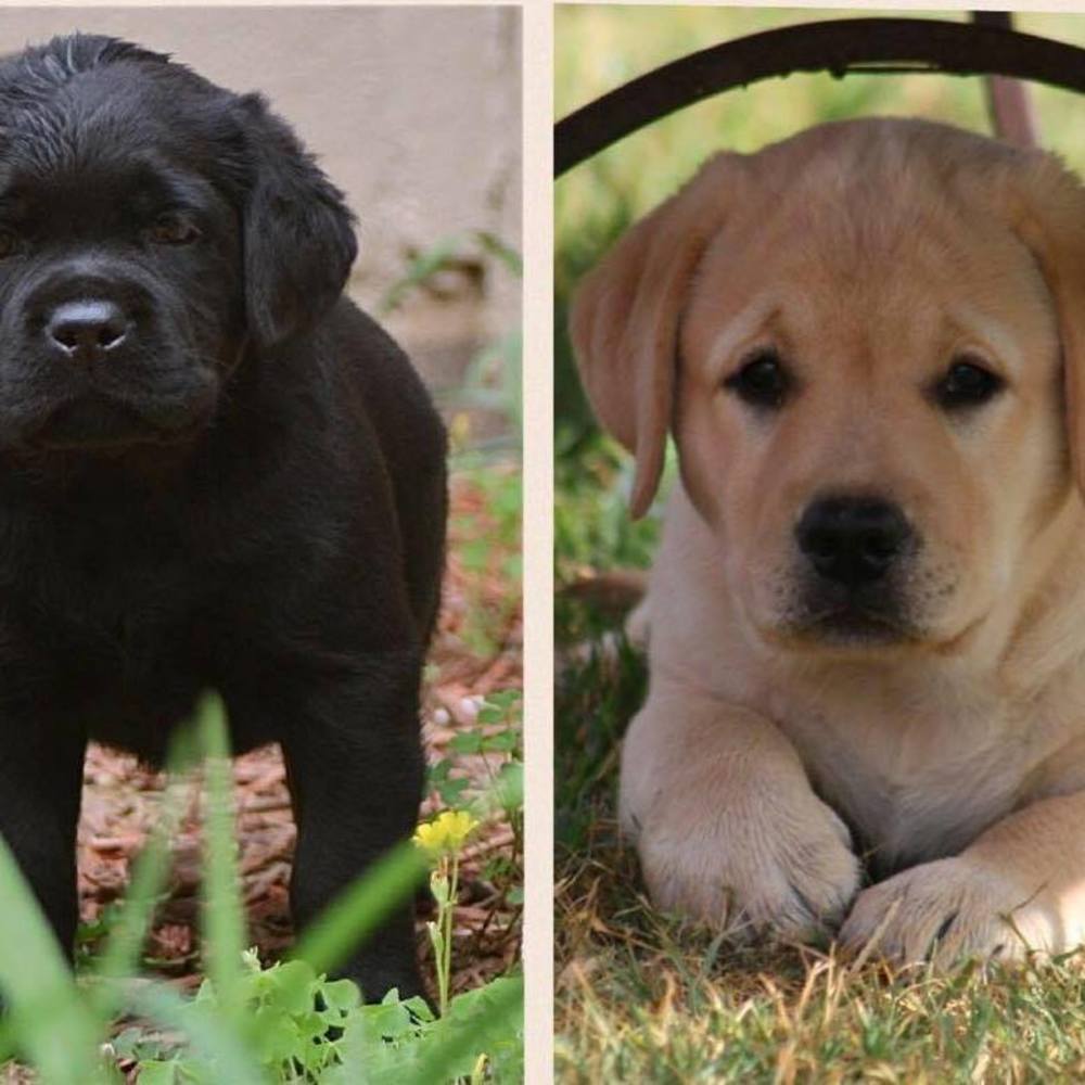 Meet your Posher, Clair