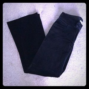Velvet Banana Republic Sloan Pants