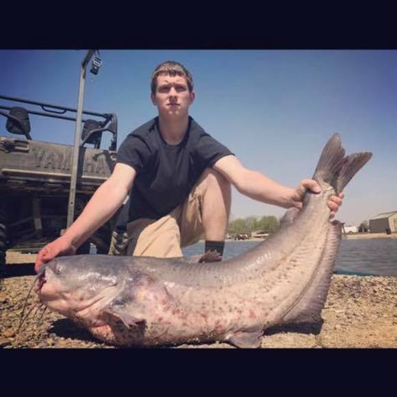 Meet your Posher, David - Picture 1 of 1