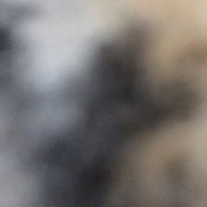 Meet your Posher, Frank