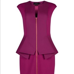 Ted Baker Jamthum Dress NWOT