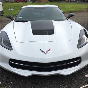 Meet your Posher, Dillon