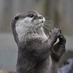 Meet your Posher, Tami