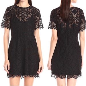 🖤 Lace Dress with Scallop Edge 🖤