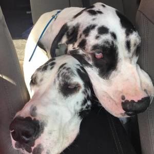 Meet your Posher, Heather