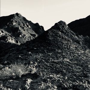 Meet your Posher, Ella