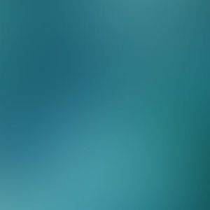 Meet your Posher, Gabriel