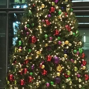 Meet your Posher, Jacqueline