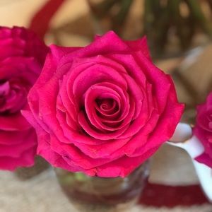 Meet your Posher, Berlie