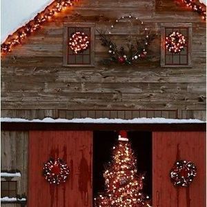 Meet your Posher, Sonia