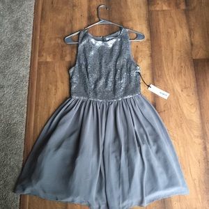 BB Dakota Dress