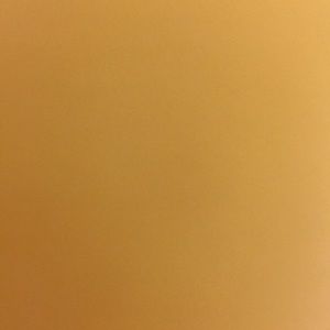 Meet your Posher, Jake