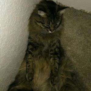 Meet your Posher, Ethan