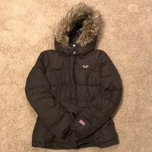 Hollister Down/Polyester/Fiber Coat