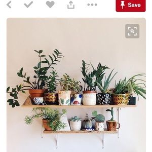 Meet your Posher, Nataliya