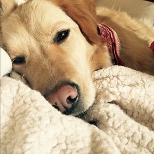 Meet your Posher, Casey