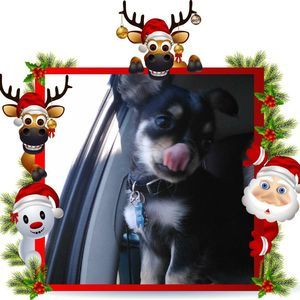 Meet your Posher, Kim