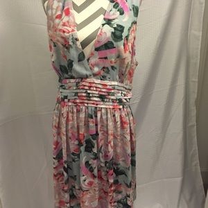 BB Dakota dress (#77)