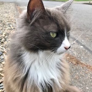 Meet your Posher, Paige