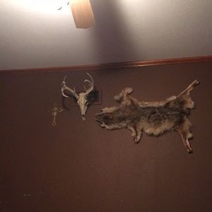 Meet your Posher, Kyle