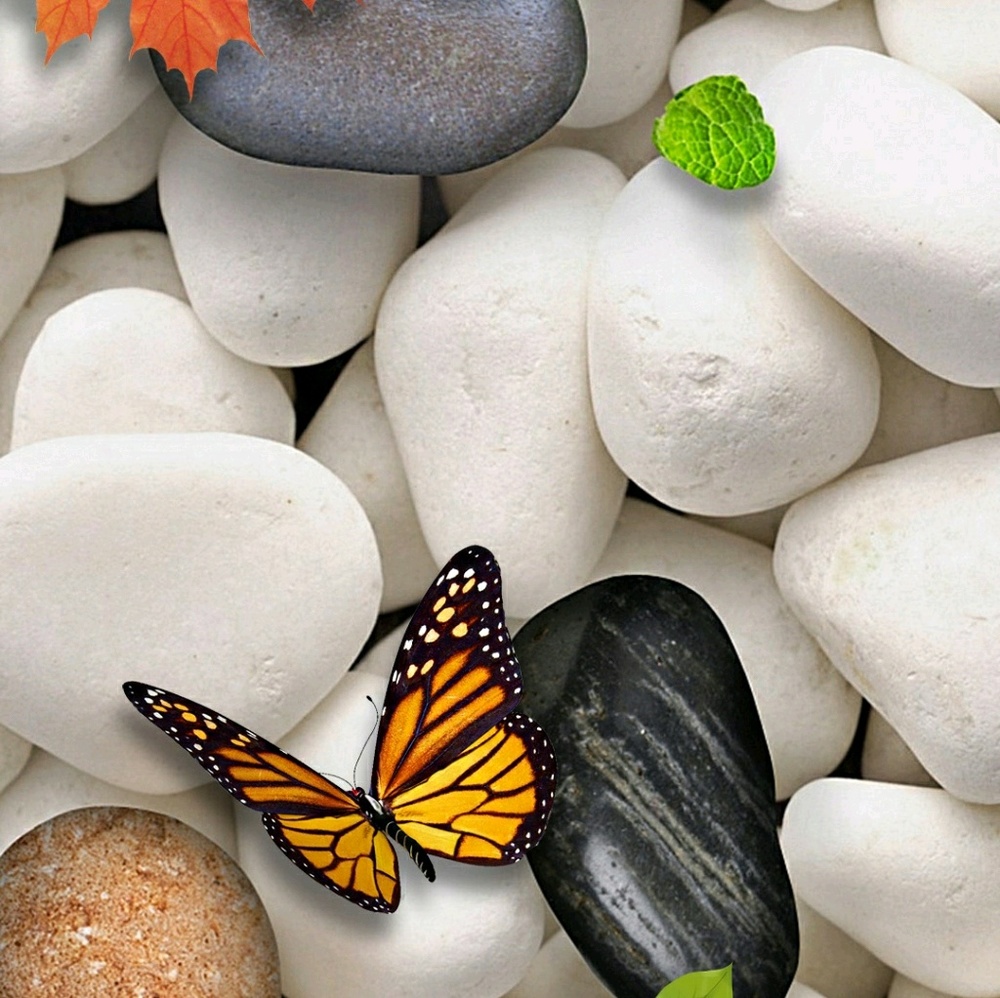 Meet your Posher, Nena