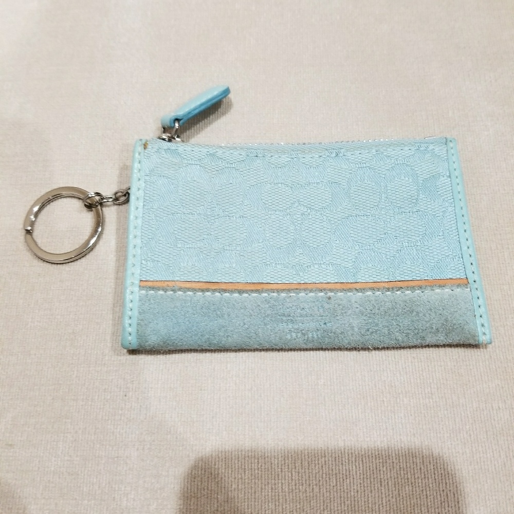 Coach Mini Skinny