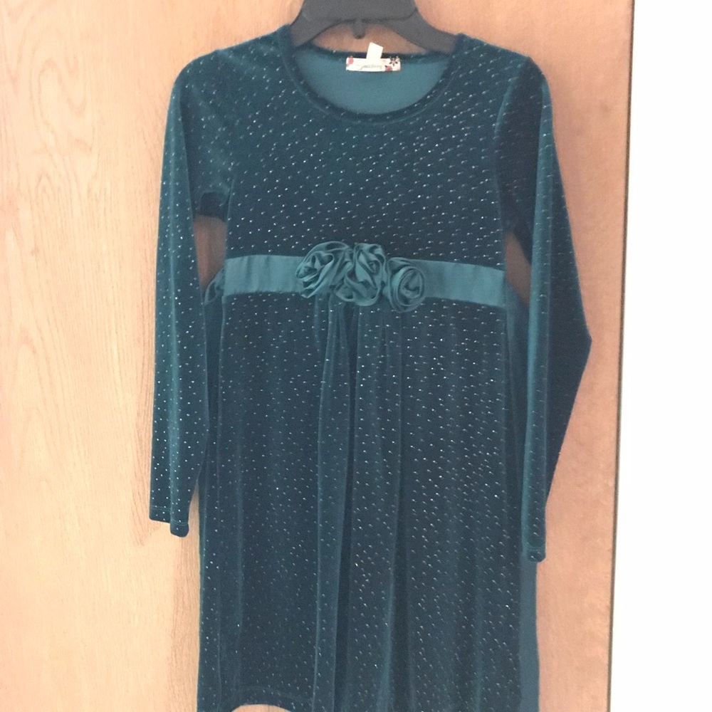 EUC girls velvet dress