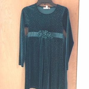 EUC girls velvet dress