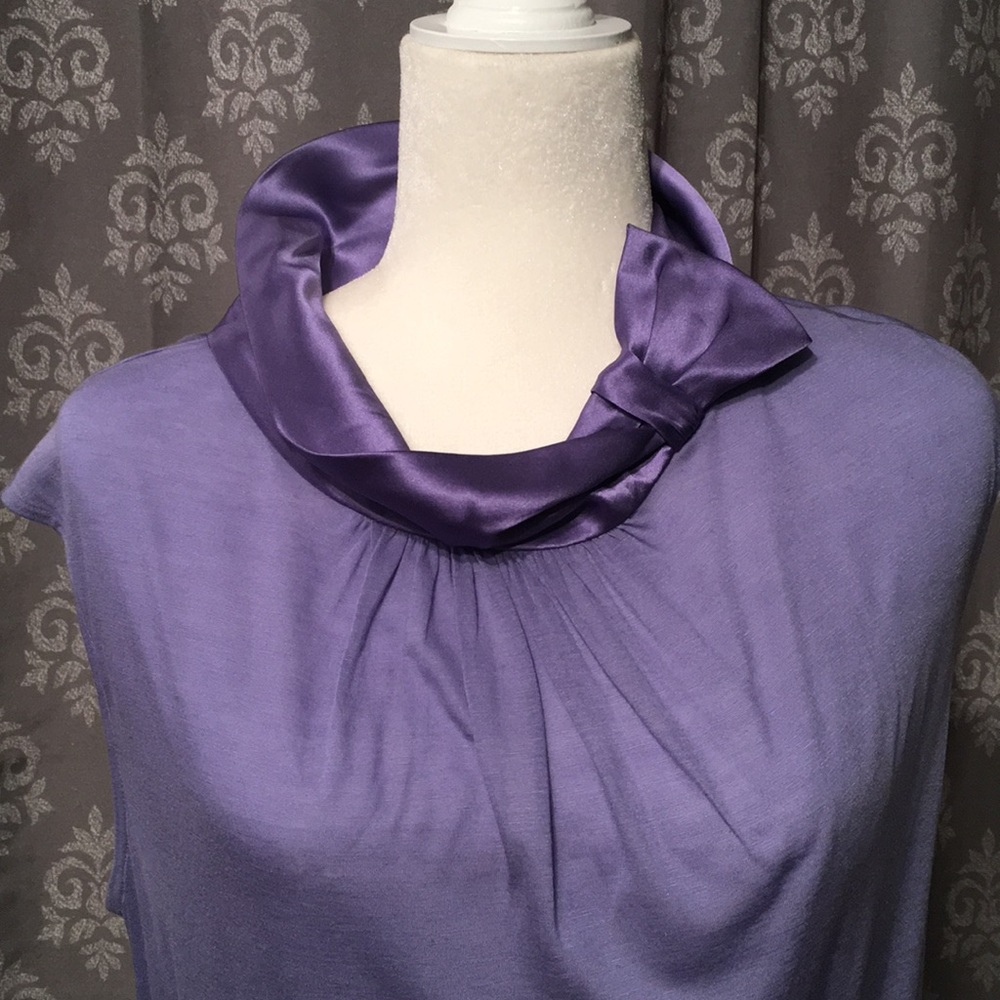 Ann Taylor Periwinkle Top