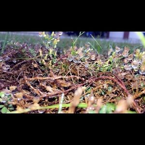 Meet your Posher, Zara