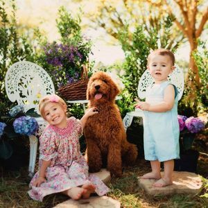 Meet your Posher, Allen n