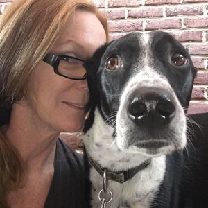 Meet your Posher, Sheila