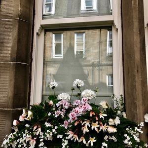 Meet your Posher, Mary carol