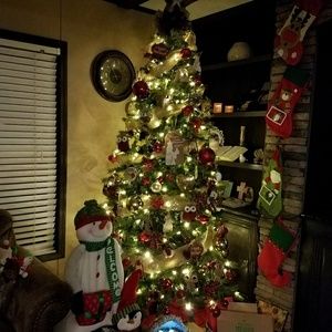 Meet your Posher, Eli