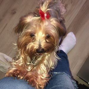 Meet your Posher, Mariam