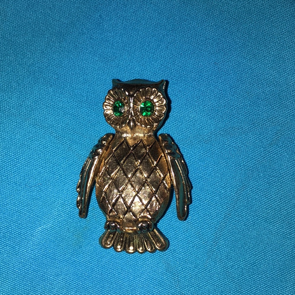 EXQUISITE OWL BROOCH!