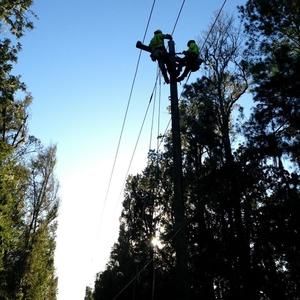 Meet your Posher, Randy