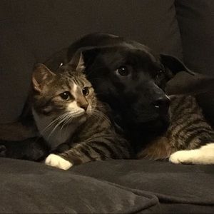 Meet your Posher, Morgan