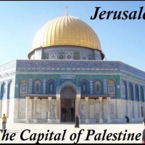 Meet your Posher, Hebatallah