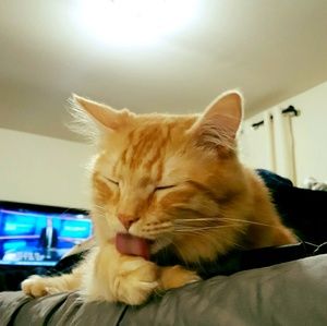 Meet your Posher, Tolu