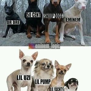 Meet your Posher, Leonard