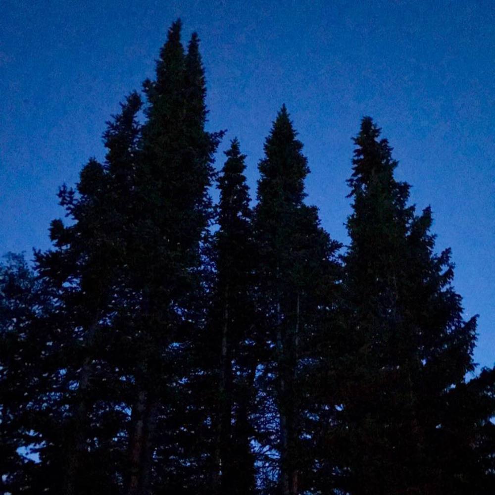 Meet your Posher, Kari