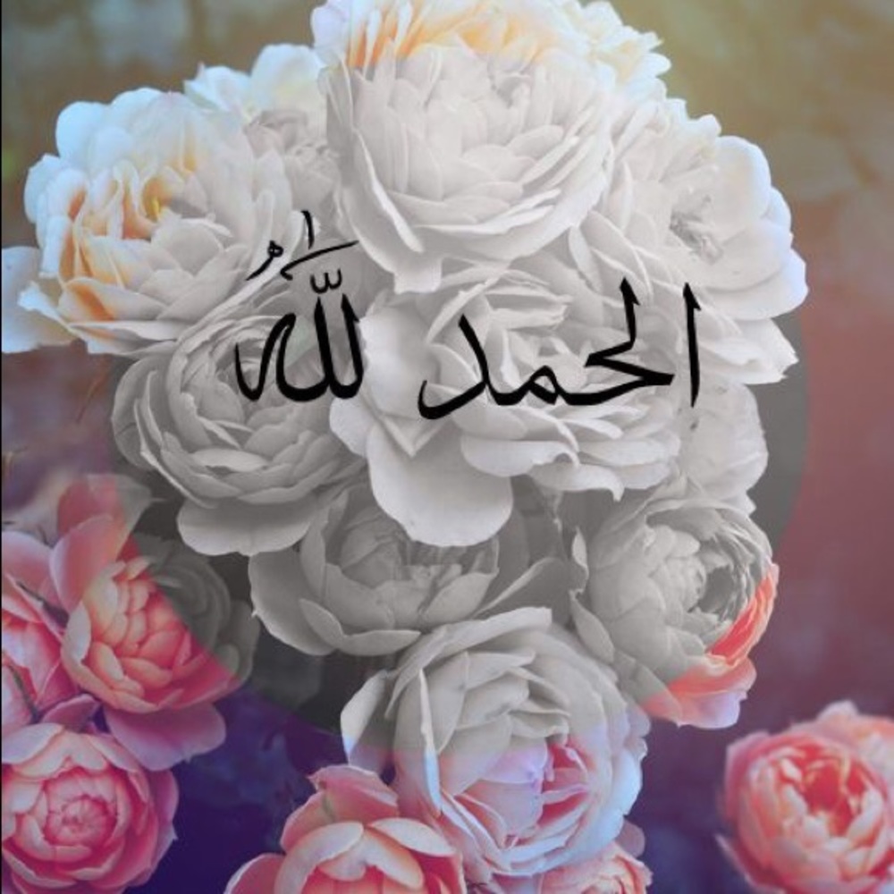 Meet your Posher, Kimber