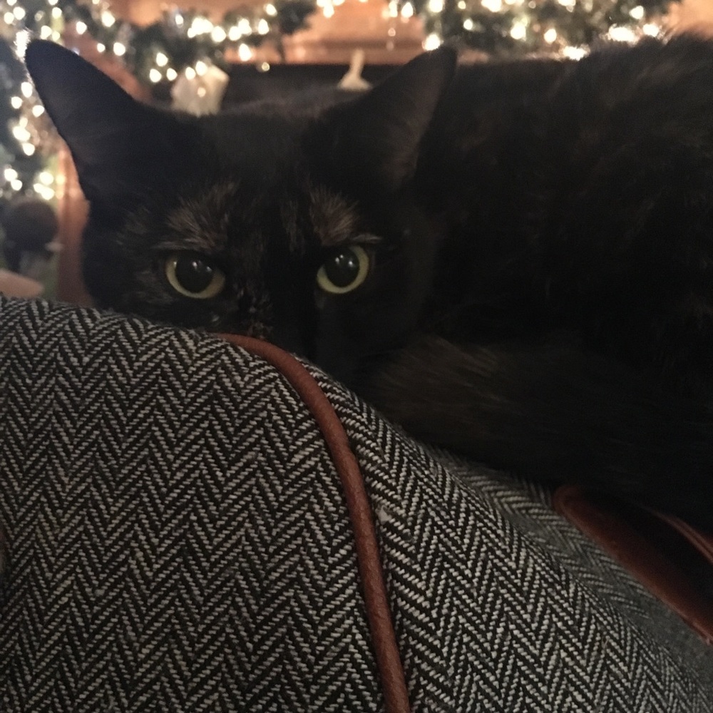 Meet your Posher, Martha