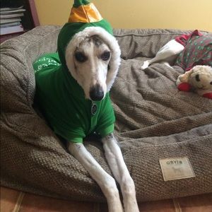 Meet your Posher, Niccolo